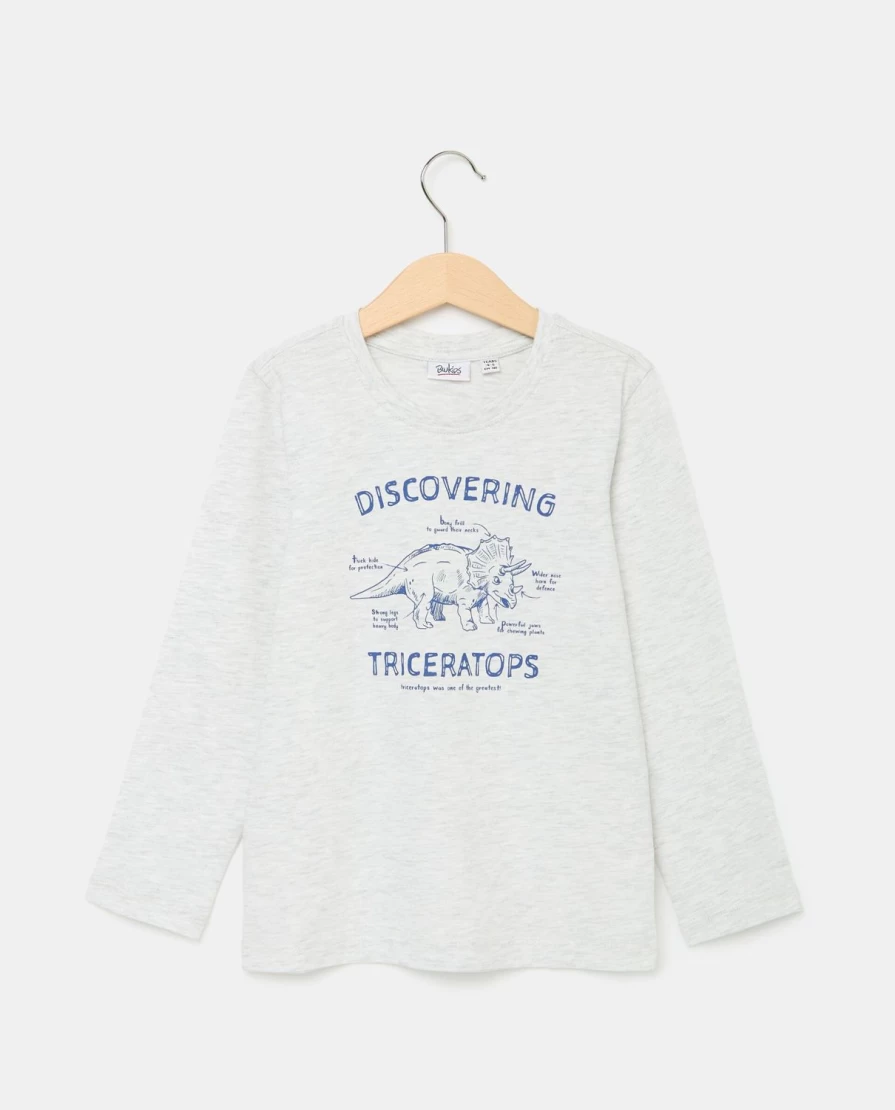 Blukids Boys' Long Sleeve Cotton Jersey T-Shirt for Children