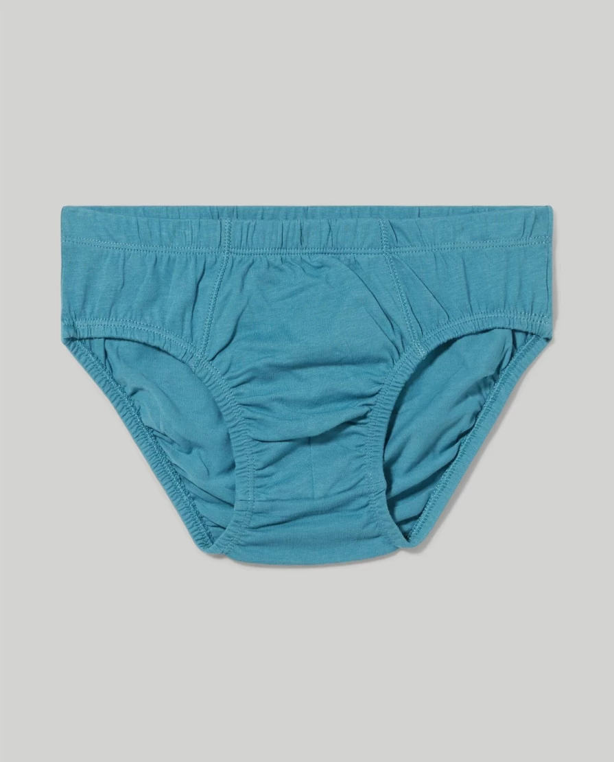 Blukids Youth Boys' Comfortable Cotton Briefs Underwear for Kids