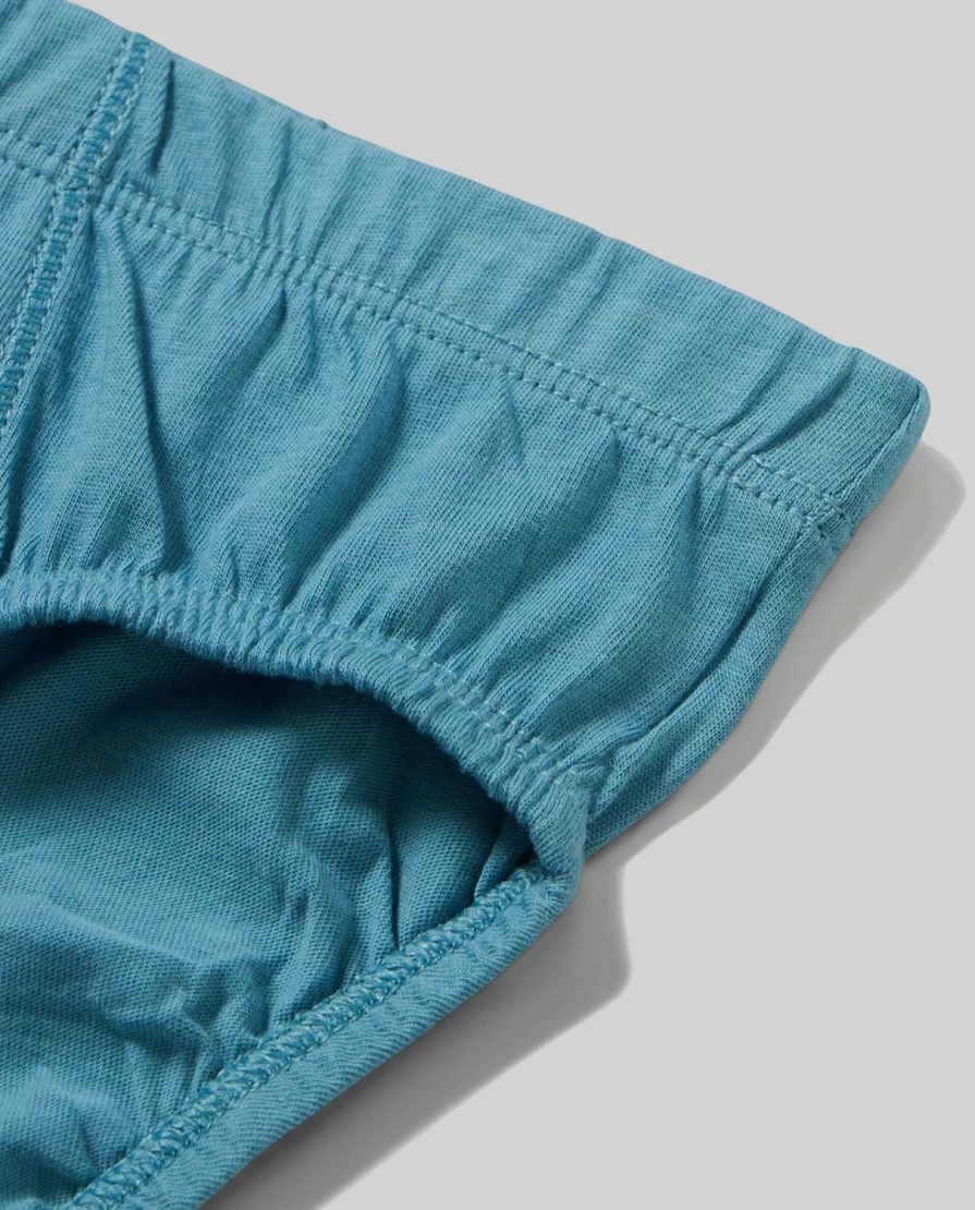 Blukids Youth Boys' Comfortable Cotton Briefs Underwear for Kids