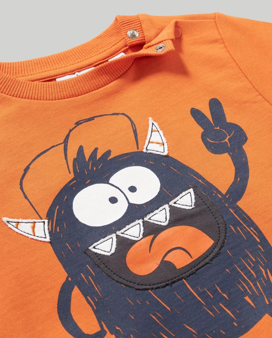 Blukids Newborn Baby Crewneck Sweatshirt with Cute Print - Soft Cotton Comfort