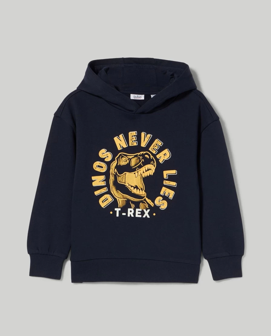 "Blukids Boys' Pure Cotton Sweatshirt – Soft & Comfortable Kids' Pullover"